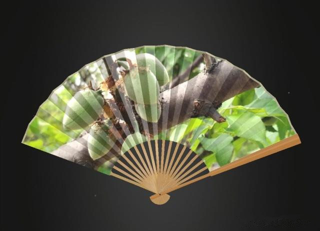 腾讯《折扇游戏》晒竹子关卡怎么过