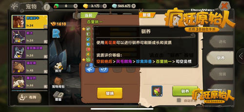 《疯狂原始人》宠物品质怎么升