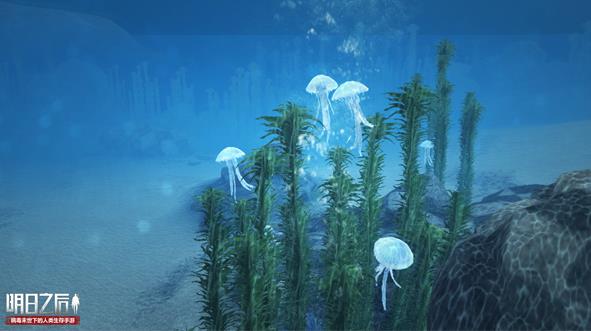 《明日之后》圣托帕尼海岛地图介绍