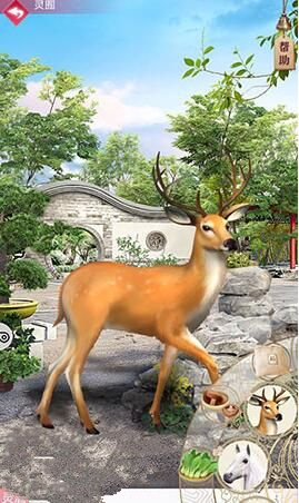 《宫廷秘传》灵宠怎么得