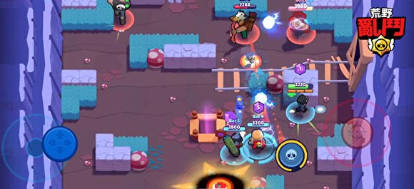 ����Ұ�Ҷ�������ԤԼ��ַ