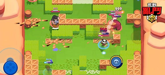 ����Ұ�Ҷ�������ԤԼ��ַ