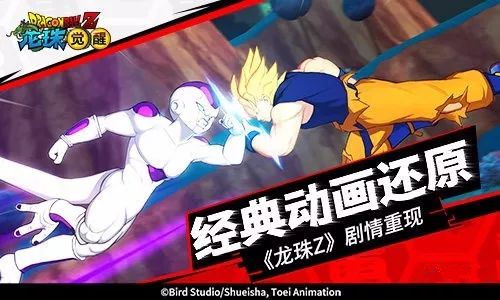 《龙珠觉醒》抽到S卡的几率有多高