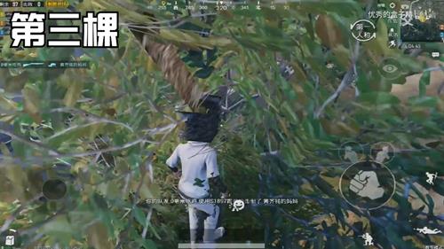 《绝地求生刺激战场》学校上树阴人BUG