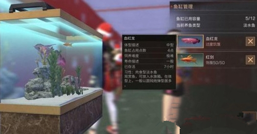 ������֮��Ѫ���������Զ�����