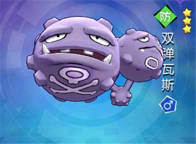 ��������û��˫����˹��������ʲô����