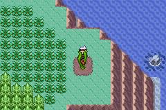 《口袋妖怪荒芜的世界》如何进入梦幻岛