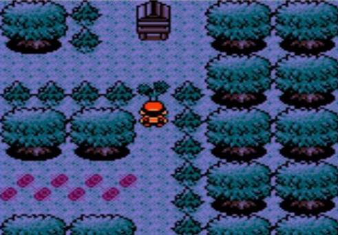 《口袋妖怪金版》隐藏剧情介绍