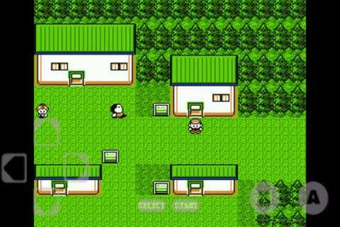 《口袋妖怪金版》金手指怎么用