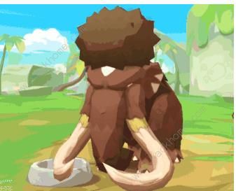 �����ݵ�����������������Щ