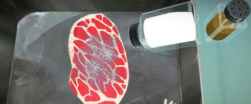 ��Сɭ���ţ���������