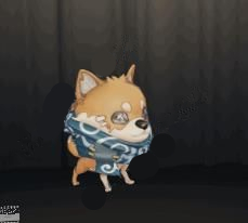 �������˸�11��29�ո��¹��� ������������ʱװ ��Ȯ���