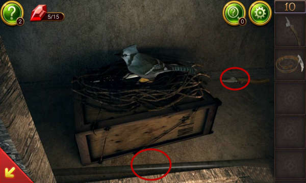 ����������10��̽���ơ���10����ô��