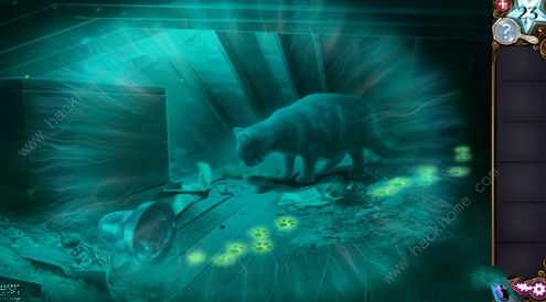 ��ð�������ֹ����ԡ����Ĺ���ô��