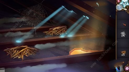 ��ð�������ֹ����ԡ���������ô��