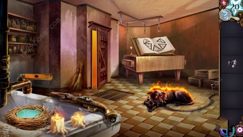 ��ð�������ֹ����ԡ���������ô��