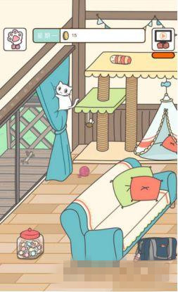 《猫咪饲养日常》特殊玩具怎么获得