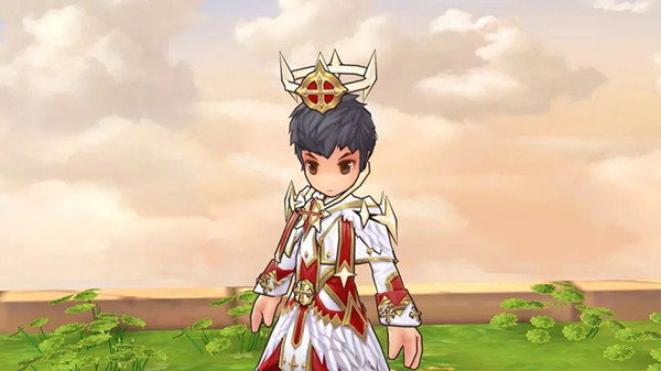 ���ɾ���˵RO��װ��������ô��