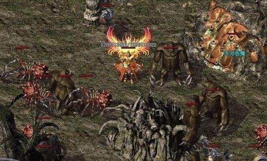 �����桷��������ʲô