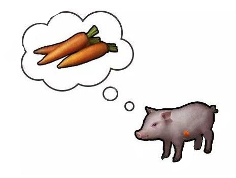 ������֮��ȫ��ͼ���˷��乥��