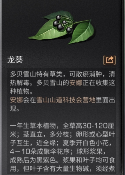 ������֮�󡷶౴ѩɽ�����������Щ