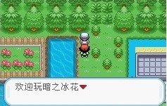 ���ڴ����ְ�֮�����������������̹���