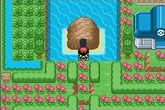 《口袋妖怪暗之冰花》一开始怎么玩