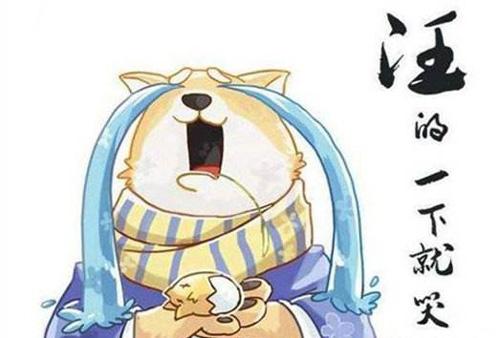 ������ʦ������������ô����