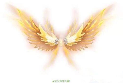 ��QQ�ɳ�������ӫ���ӳ������ô���