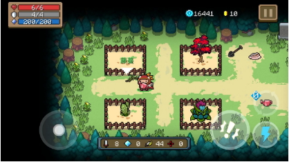 《元气骑士》新版本植物生长周期详解