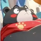 ������ѧ԰�����ռ��������ݽ���