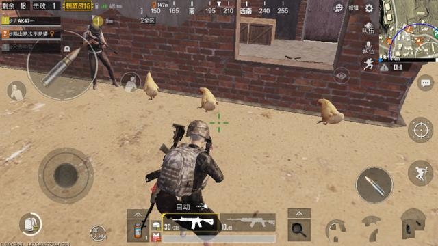 《绝地求生刺激战场》一只鸡变五只鸡方法图文详解