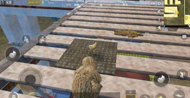 《绝地求生刺激战场》累计抓到20只鸡任务攻略