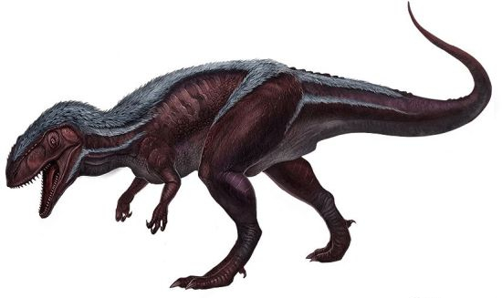 方舟生存进化斑龙驯服攻略_方舟生存进化斑龙怎么驯服