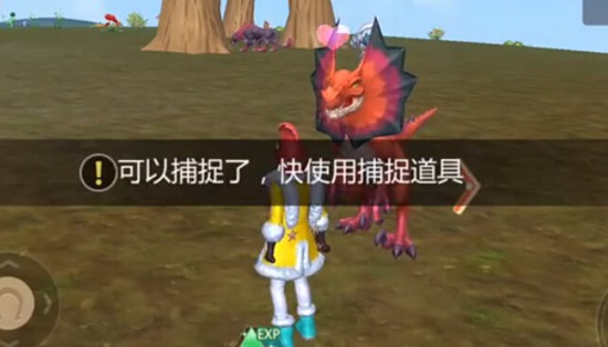 《创造与魔法》毒液龙捕捉方法图文详解