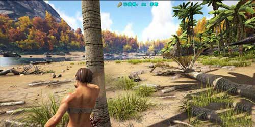 《方舟生存进化》手游怎么采木头