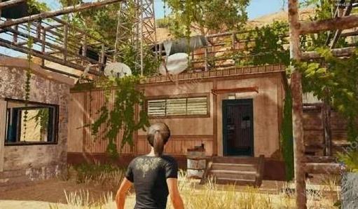 《绝地求生刺激战场》花园在哪