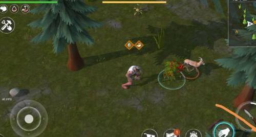 ������Σ�С�״̬������ô���