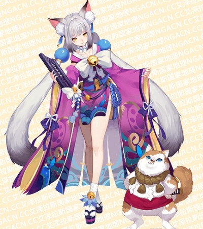 ������ʦ��è�ƹ����Լ��ܽ���