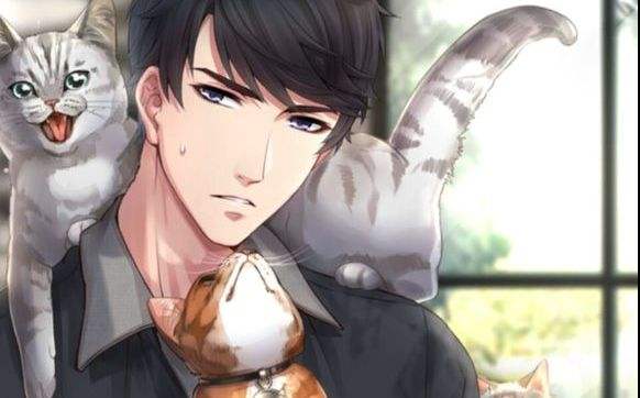 �����������ˡ������Դ������Կ�Ƭ�����ţ�