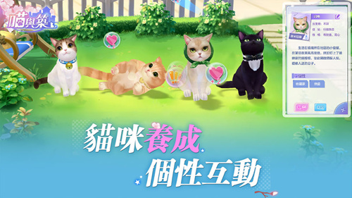 �������������ƽ����