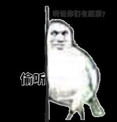 《我的起源》求船票表情包