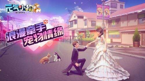 ��Ԫ��С����������ô��