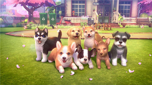 ��Ԫ��С�����޷�������ô��