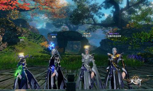 《天谕》手游登陆失败解决方案