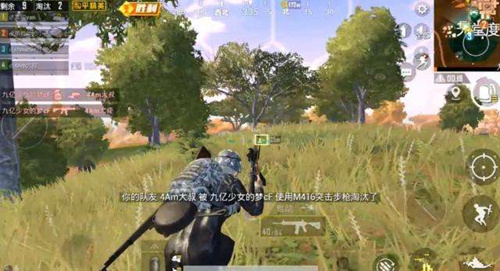 ����ƽ��Ӣ������ת�˿���ʲô