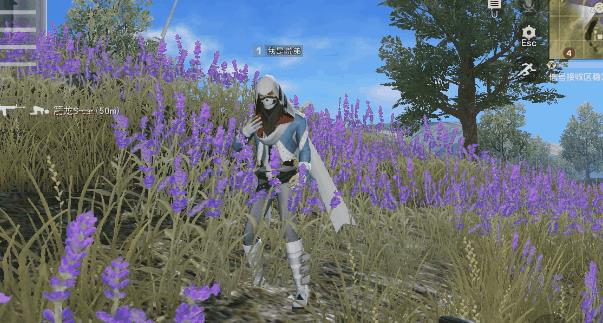 ����Ұ�ж������ο��Զ��Ƴ�һЩ�¶�����