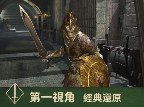 《上古卷轴刀锋》是网游吗