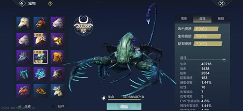 ������ɽ����������������ô��