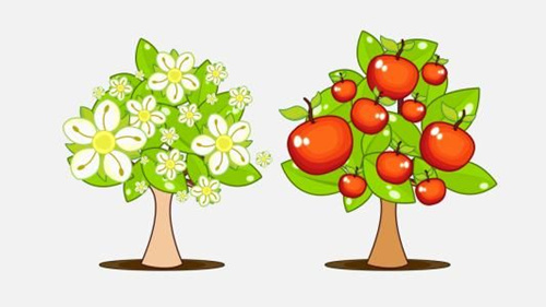 �������԰�������ˮ���������